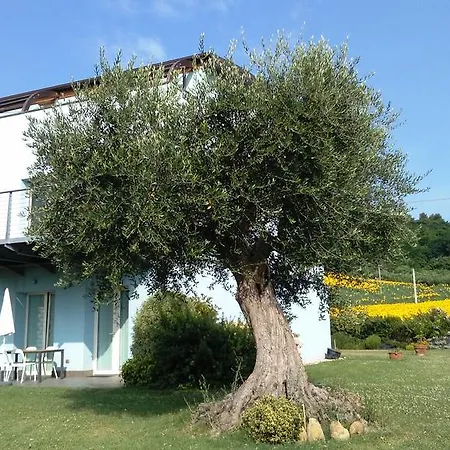 Casa Al Mare A 公寓 *